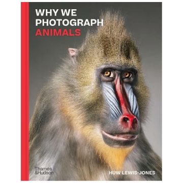 Why We Photograph Animals