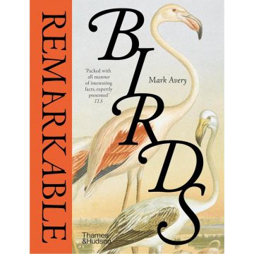 Remarkable Birds