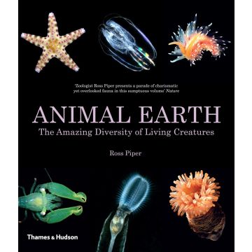 Animal Earth