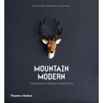 Mountain Modern