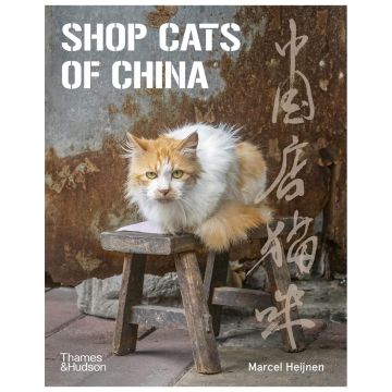 Shop Cats of China