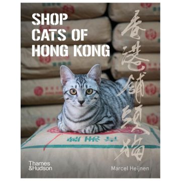 Shop Cats of Hong Kong