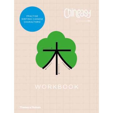 Chineasy Workbook