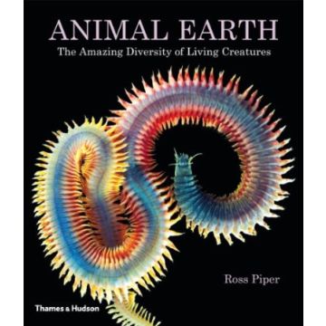 Animal Earth