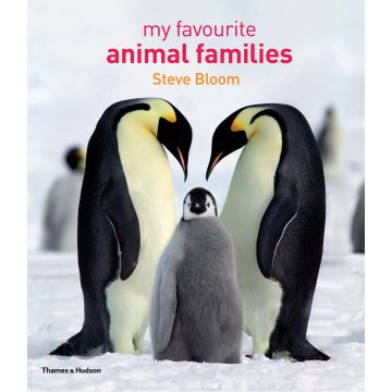 My Favourite Animal Families