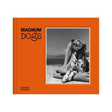 Magnum Dogs