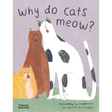 Why do cats meow?