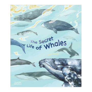 The Secret Life of Whales