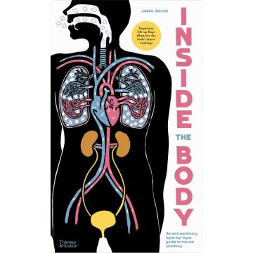 Inside the Body