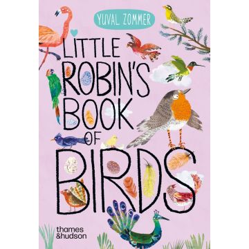 Little Robin's Book of Birds