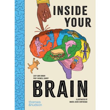 Inside Your Brain