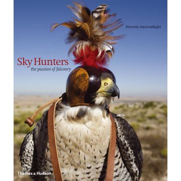 Sky Hunters