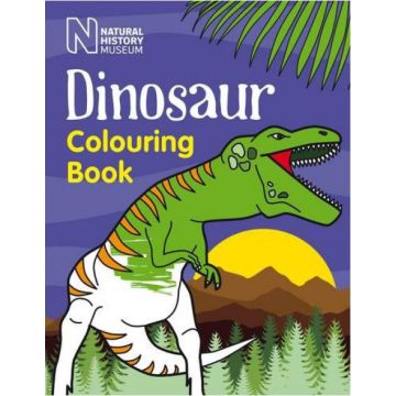 Dinosaur Colouring Book