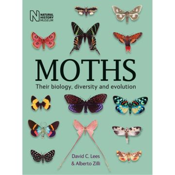 Moths