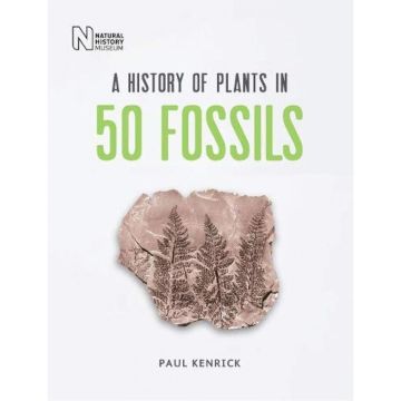 A History of Plants in 50 Fossils