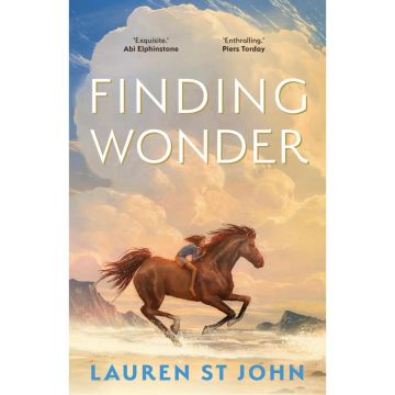 Finding Wonder