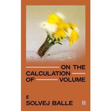 On the Calculation of Volume II