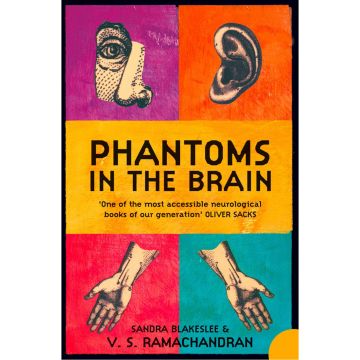 Phantoms in the Brain: