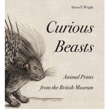 Curious Beasts: