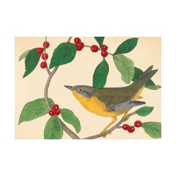 Audubon Holiday Half Note