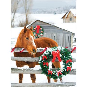 Barn Horse