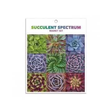 Succulent Spectrum Magnet Set