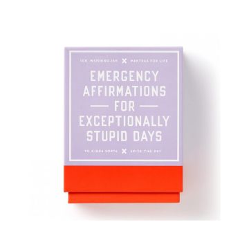 Emergency Affirmations for Exceptionally Stupid Days