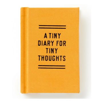 A Tiny Diary for Tiny Thoughts