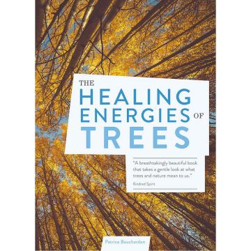 The Healing Energies of Trees