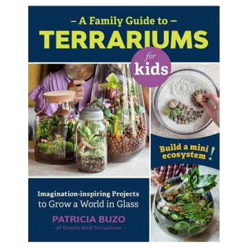 A Family Guide to Terrariums for Kids