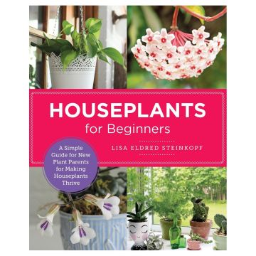 Houseplants for Beginners