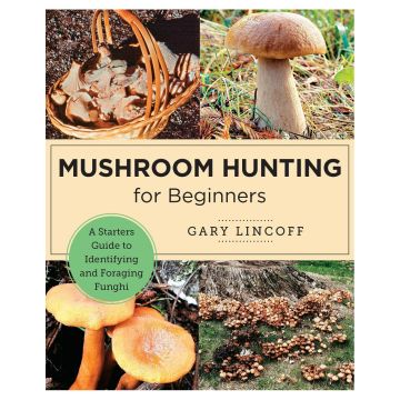 Mushroom Hunting for Beginners