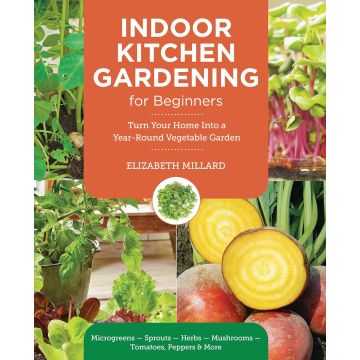 Indoor Kitchen Gardening for Beginners