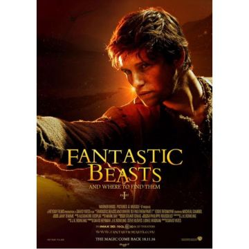 Fantastic Beasts and Where to Find Them: