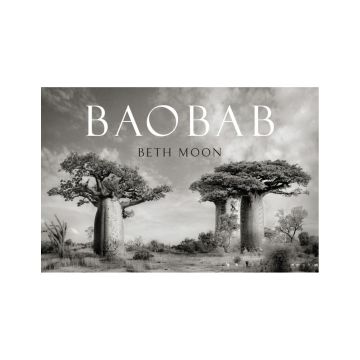 Baobab