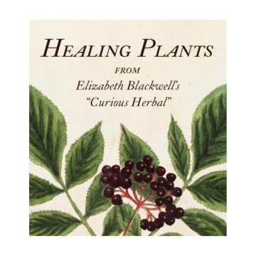 Healing Plants