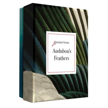 Detailed Notes: Audubon's Feathers