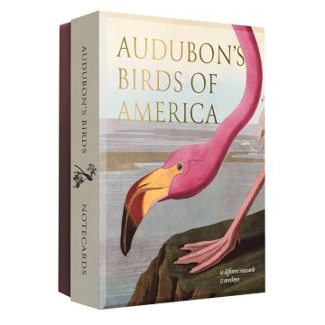 Audubon's Birds of America