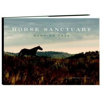 Horse Sanctuary