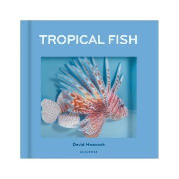 Tropical Fish