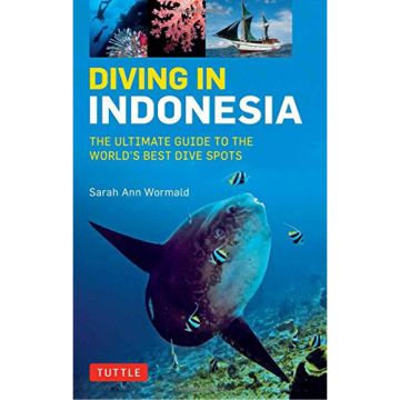 Diving in Indonesia