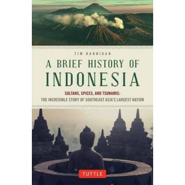 A Brief History of Indonesia