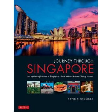 Journey Through Singapore