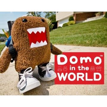 Domo in the World