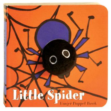 Little Spider