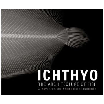 Ichthyo: The Architecture of Fish