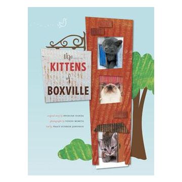 The Kittens of Boxville