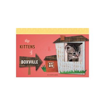 Kittens of Boxville