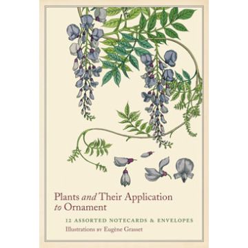 Plants and their Application to Ornament