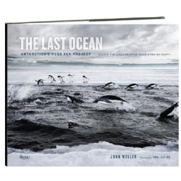 The Last Ocean